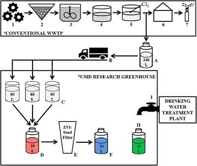 Zero-Valent Iron Sand Filtration Can Reduce Human and Plant Pathogenic Bacteria While Increasing Plant Growth Promoting Bacteria in Reclaimed Water